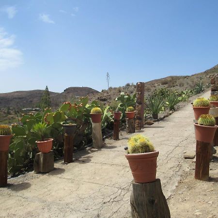 Vivelorural Casa En Valle De Chira Con Piscina San Bartolomé Kültér fotó