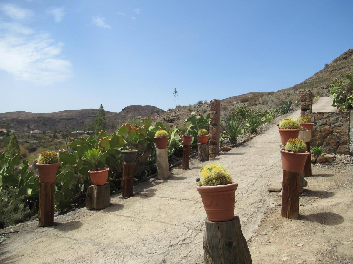 Vivelorural Casa En Valle De Chira Con Piscina San Bartolomé Kültér fotó